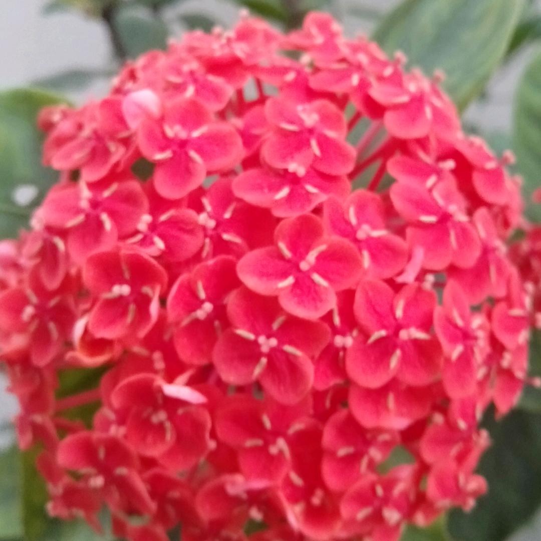 我的青春去哪了？