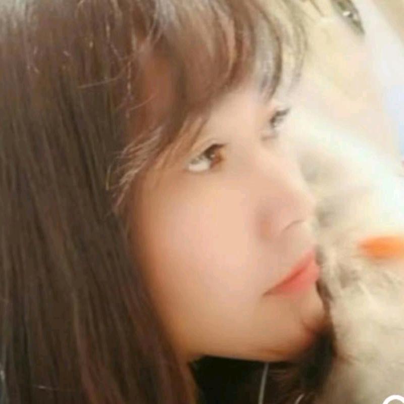 南枚