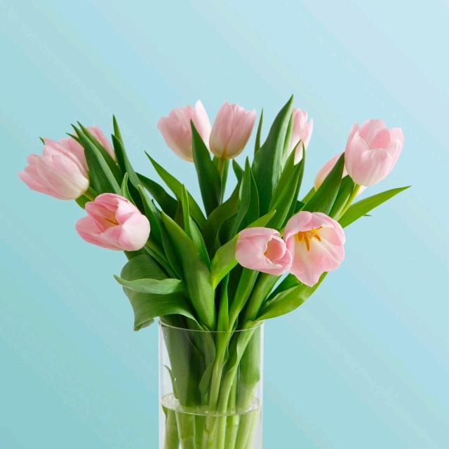 小玲姐和兜兜娃