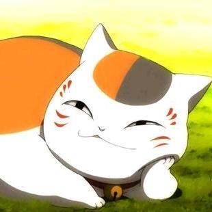 猫咪老师