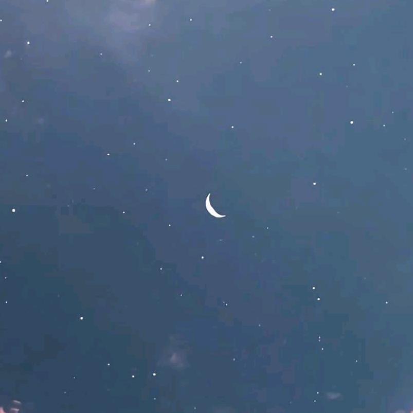 *干干脆脆吃