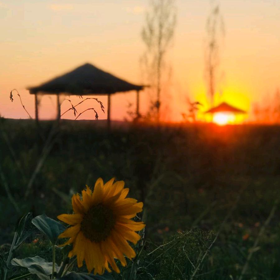 成长日记（天天笑笑）