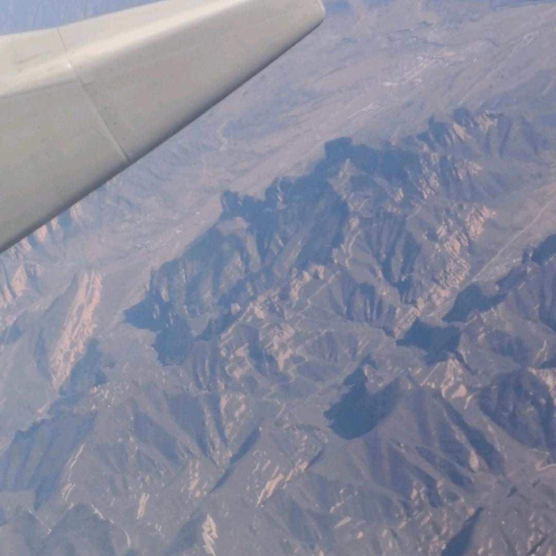 超越自我 🐕702