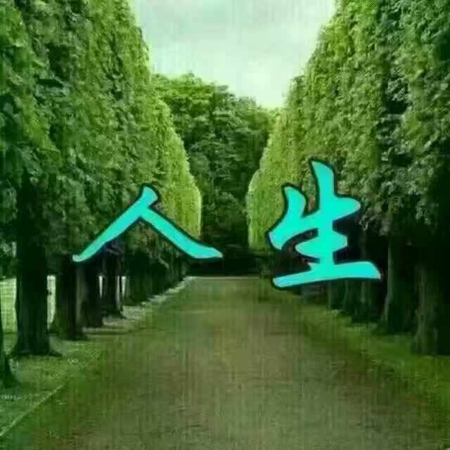 独行的玫瑰
