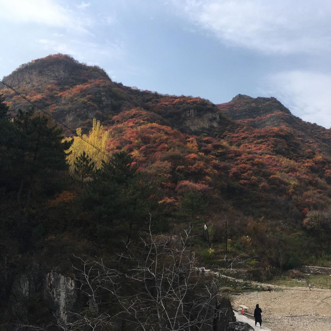 抖音用户