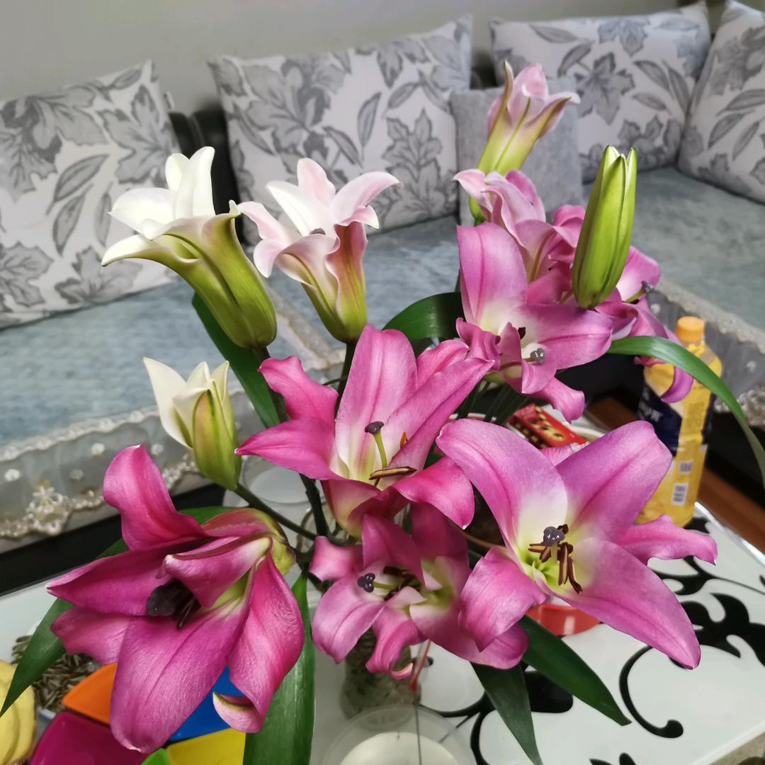 慧慧