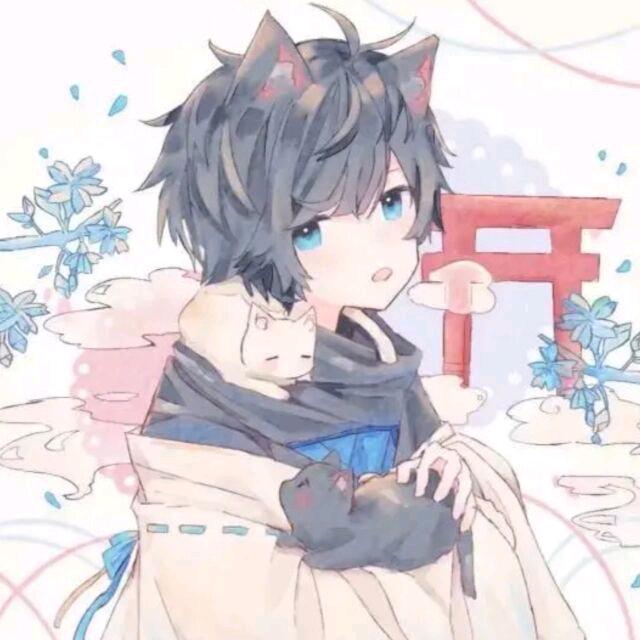 爱猫猫