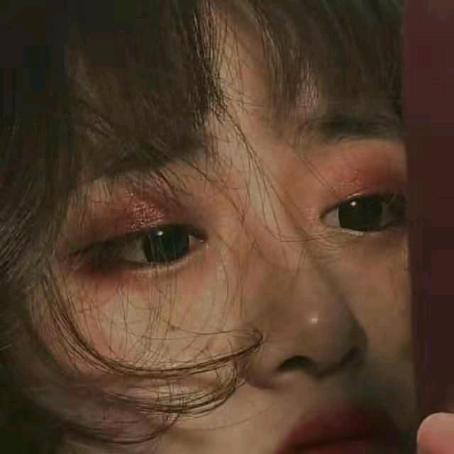 风雨里的玫瑰花