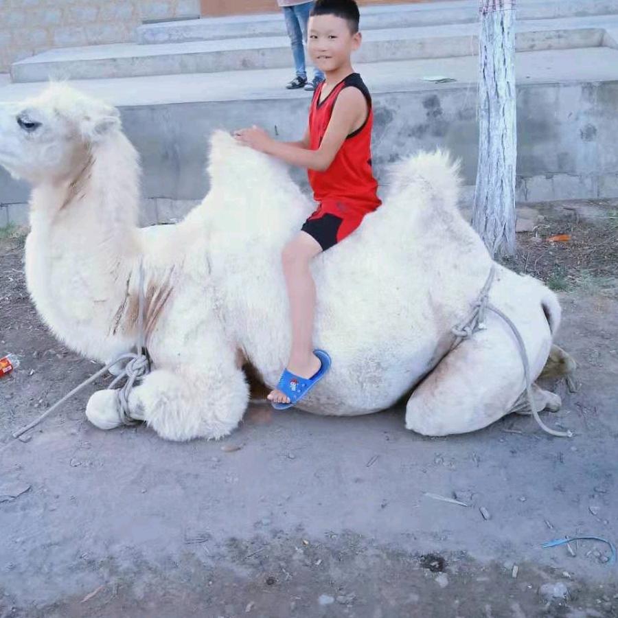 我是谁