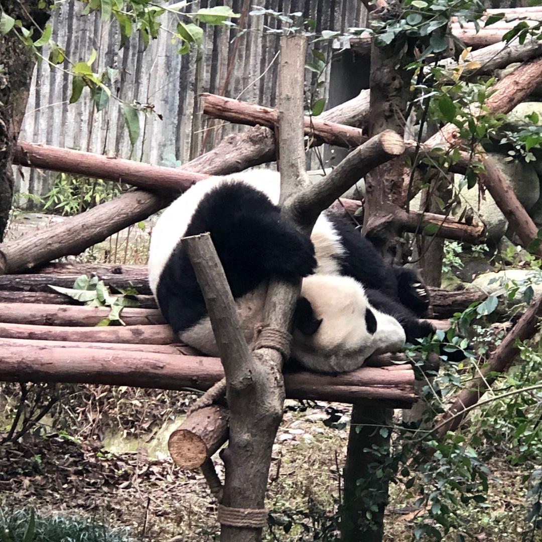 子亿