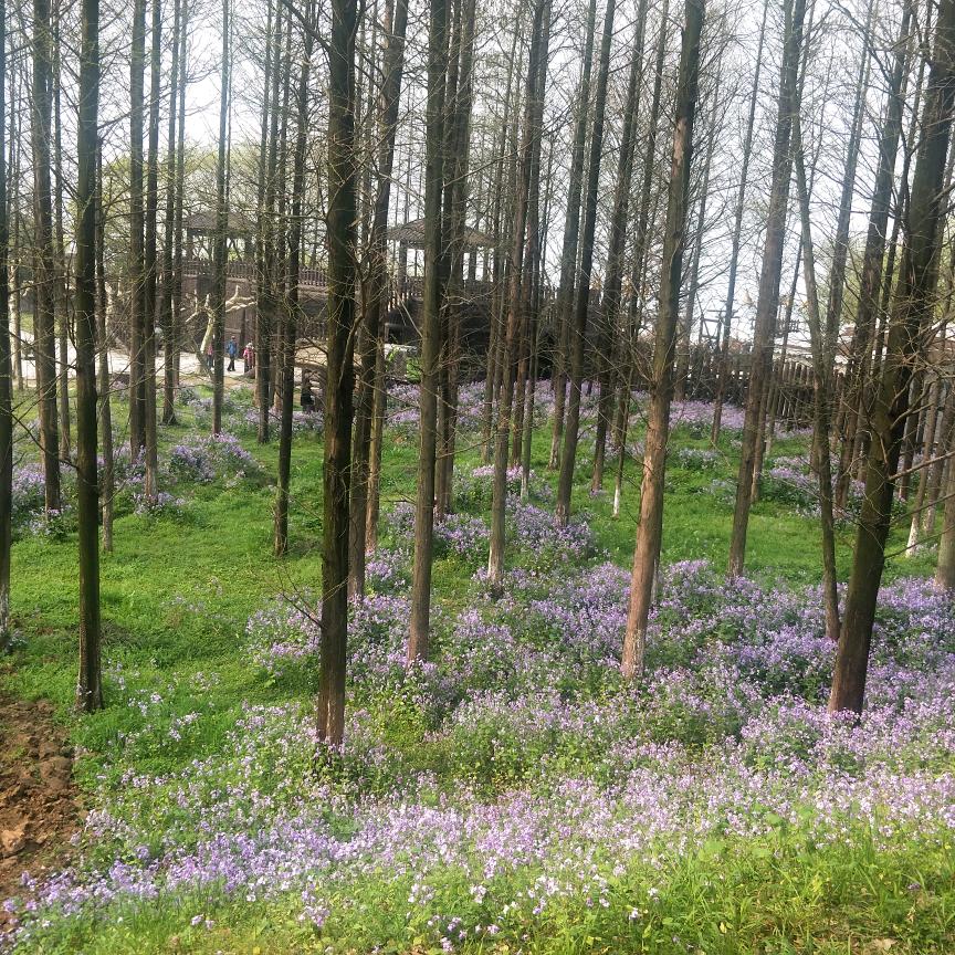 杨帆起航——静而不争