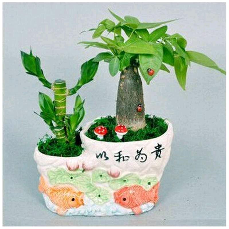 🙏🙏🙏平常心