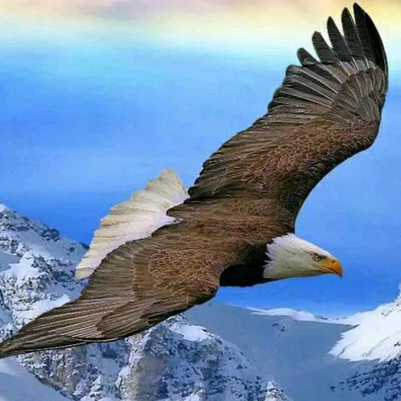 田哥爱生活☘️