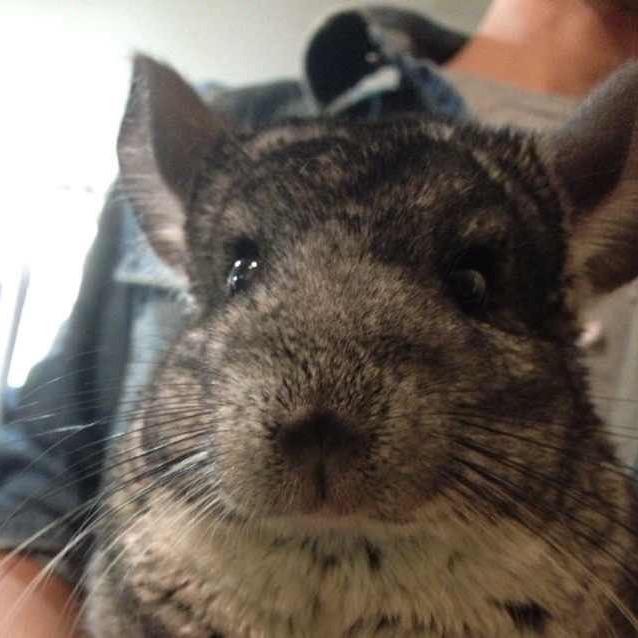 mian棉服饰 男女装