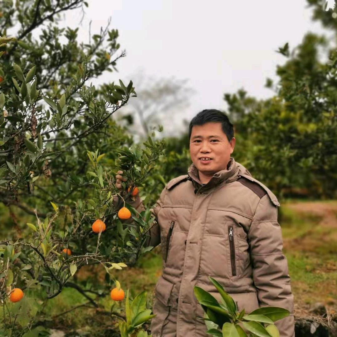 刘英豪
