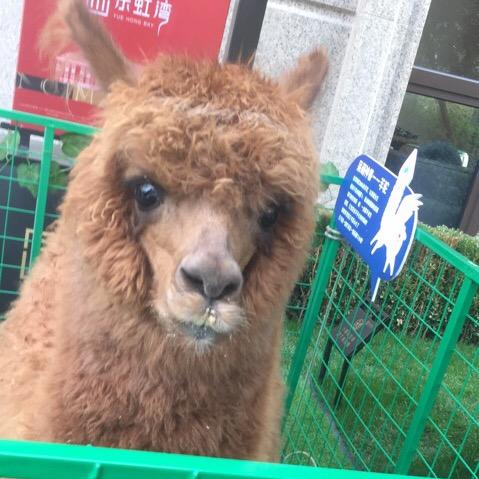 萧煌一峰