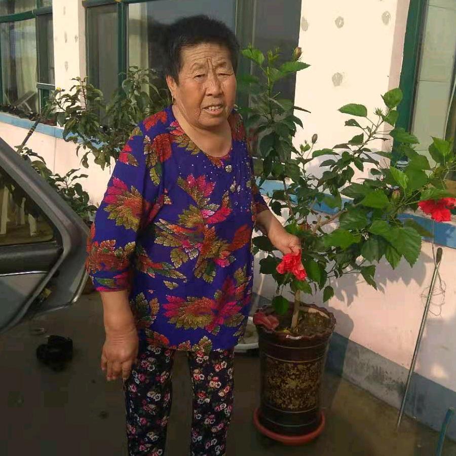 温暖