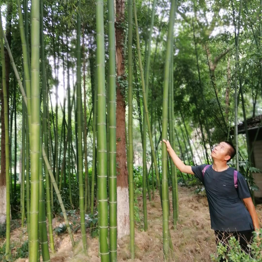 你二哥