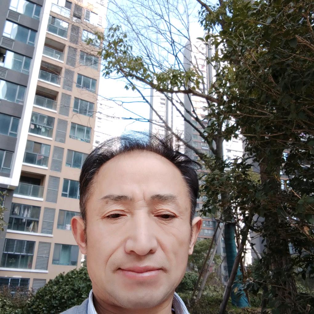 狐单独行一生