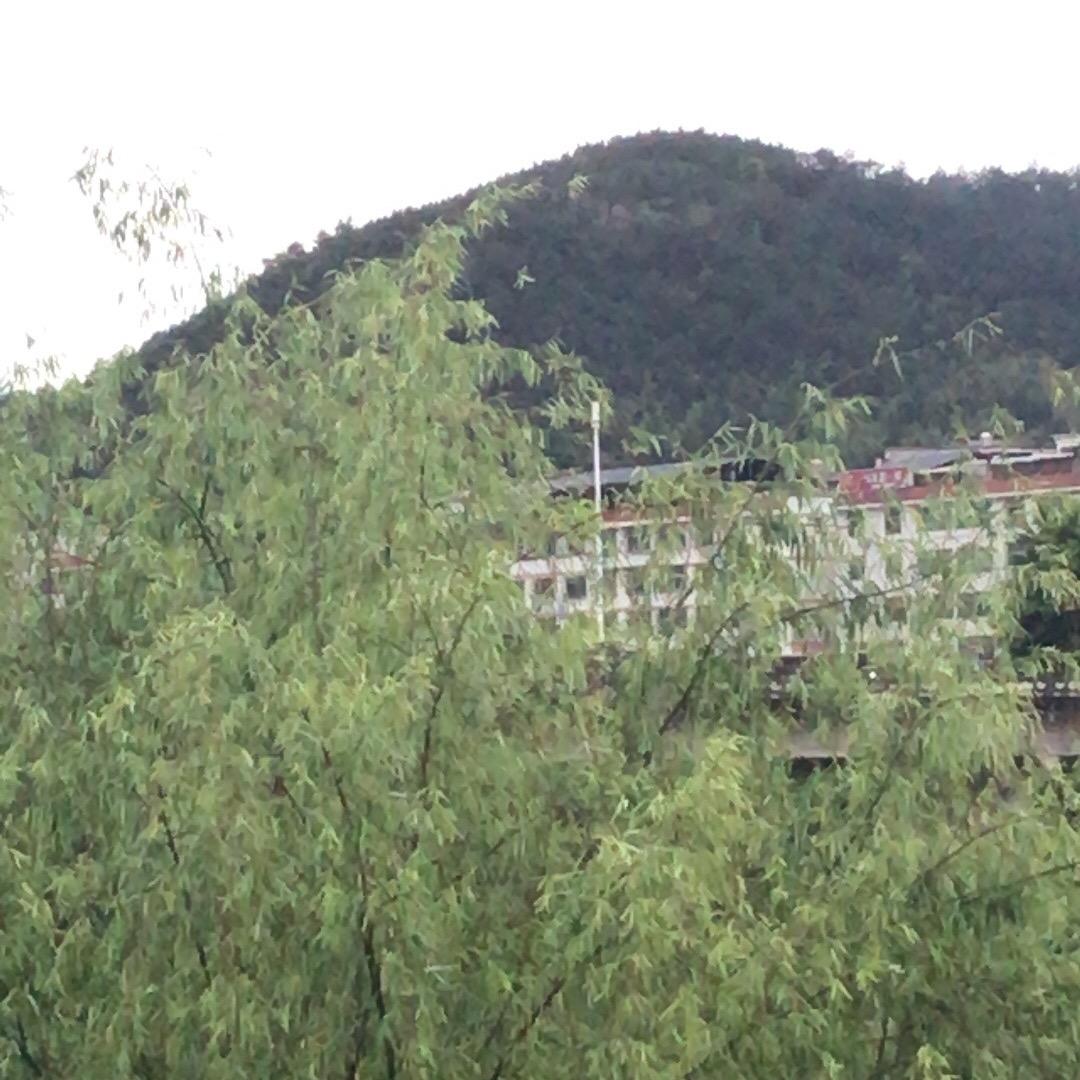 游客