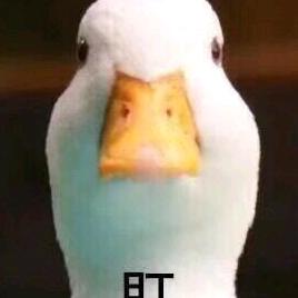 机智的羊咩咩@抖音