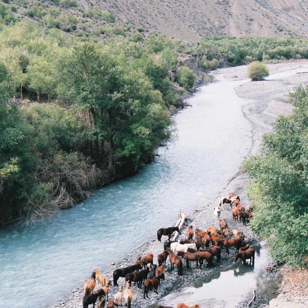 山海寄余生.Xing