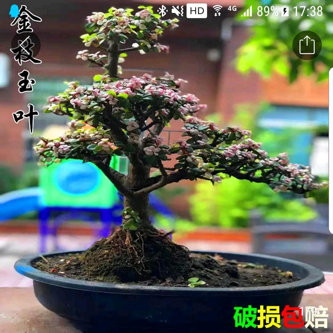 境由心造