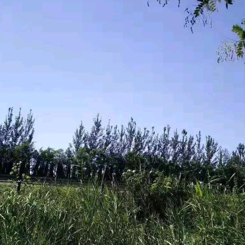 福运相伴