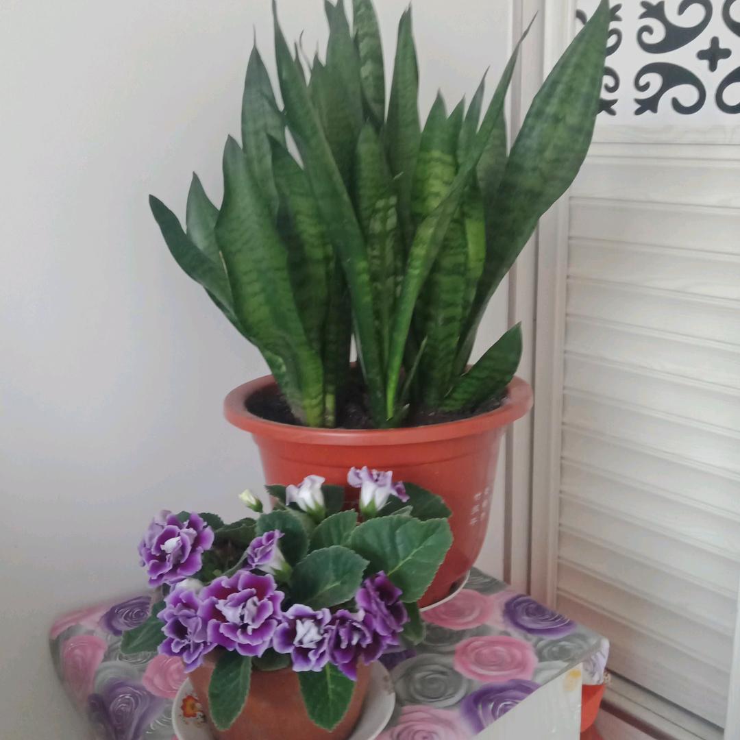 有故事的小女人