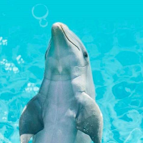 天马汽车修理厂钣金喷漆