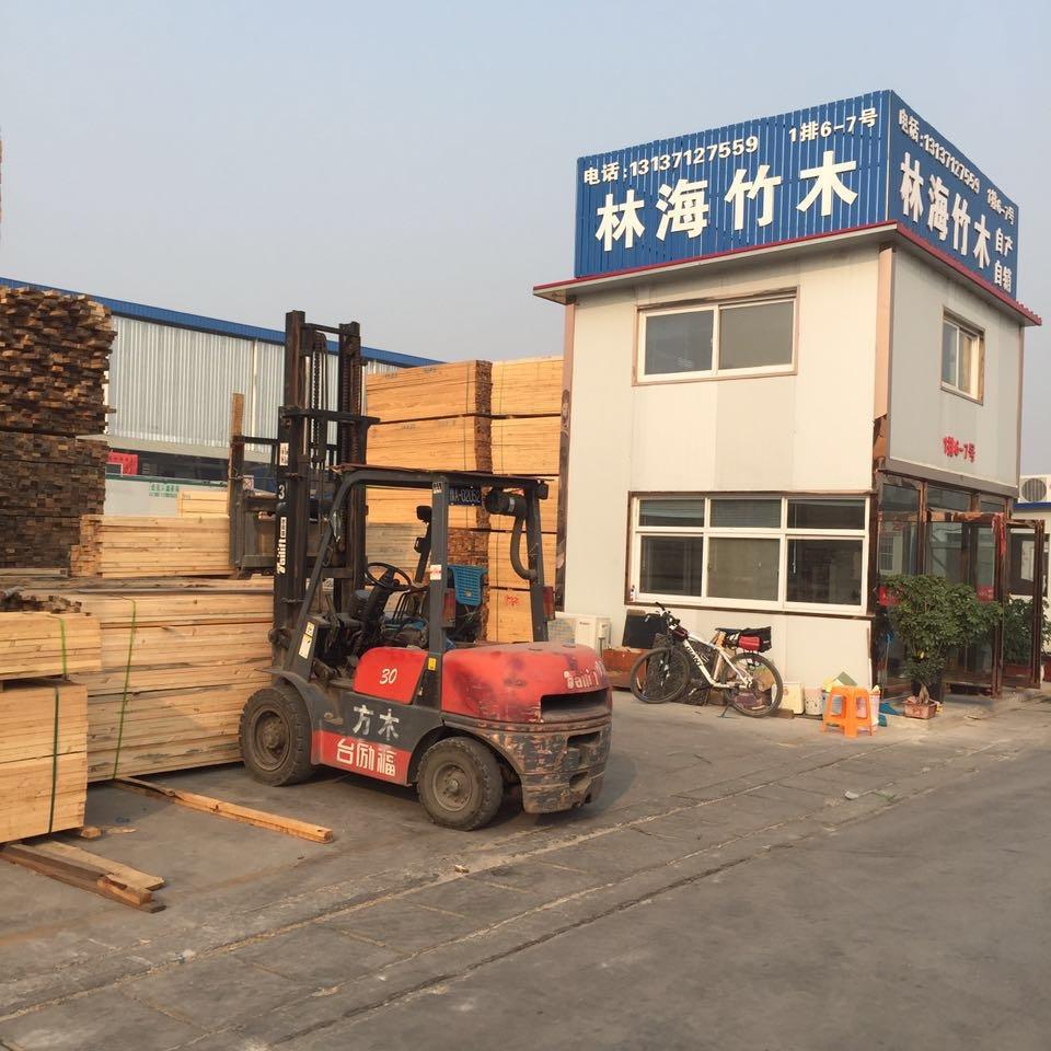 柳金闪《林海竹木》