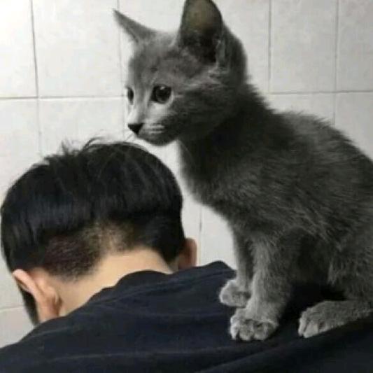 走了