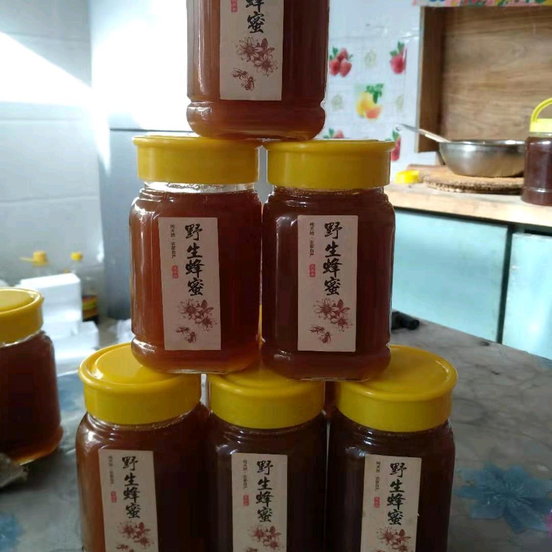 中条山野生土蜂蜜
