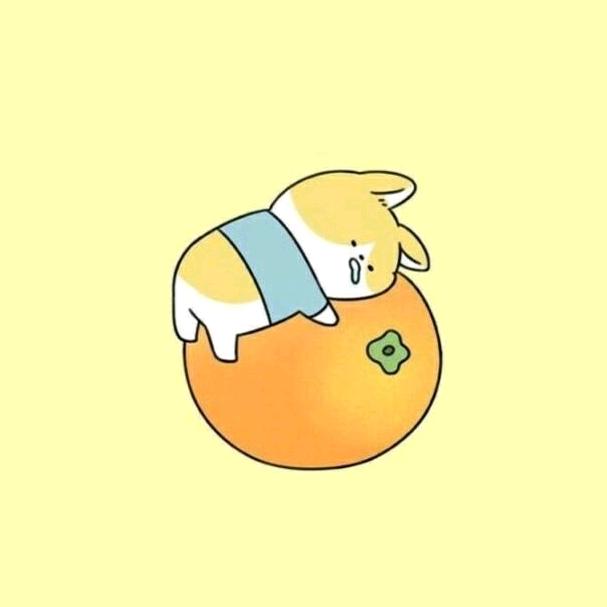 番茄你个马铃薯