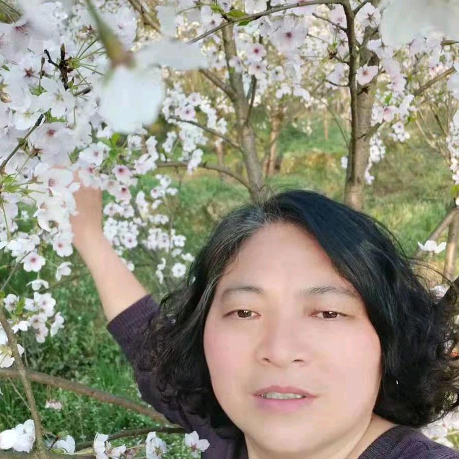 开心鱼府