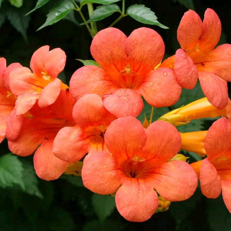 开心快乐每一天！