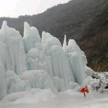 爱的世界只有你