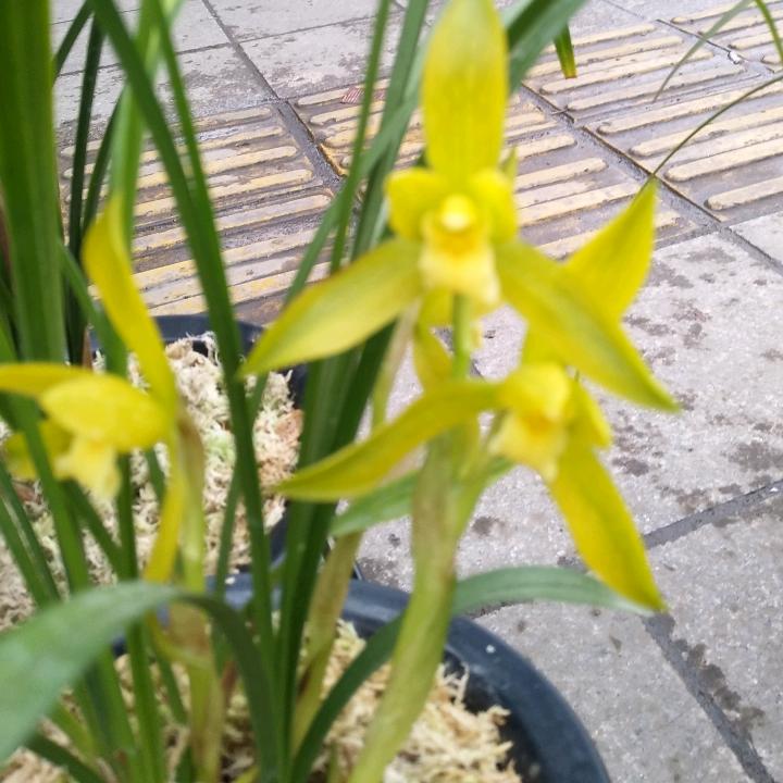 芦山大众商贸