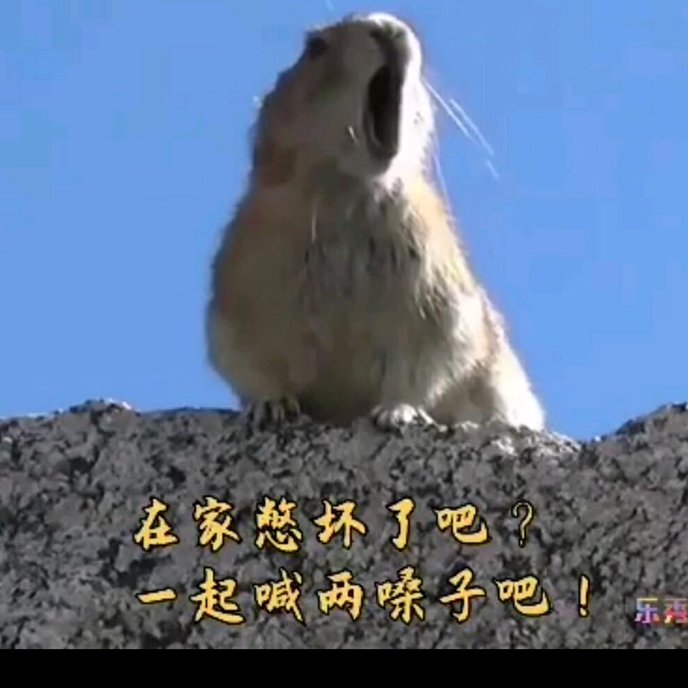 小跟班书法