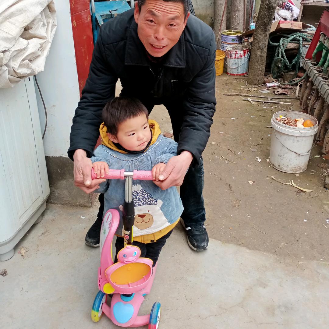 河南豫剧