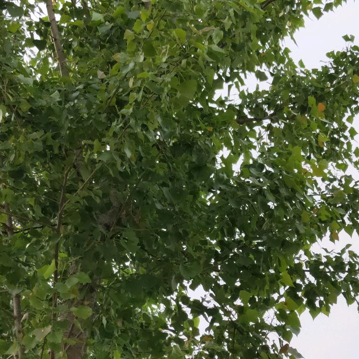 顺兴水暖