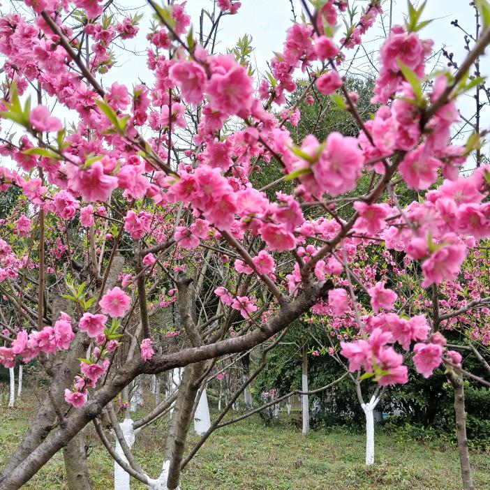 与你同行