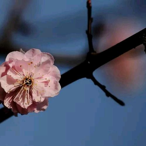 让关心我和我关心的人幸福安康