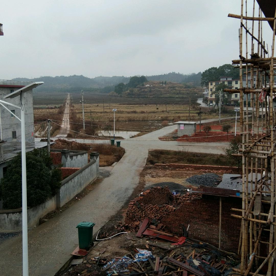 藏在衣柜里的猫