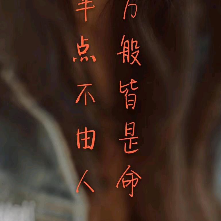 林记奶酪官方号