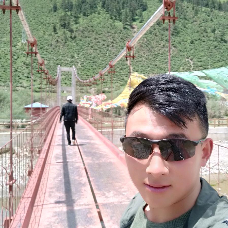 一根毛狗儿草