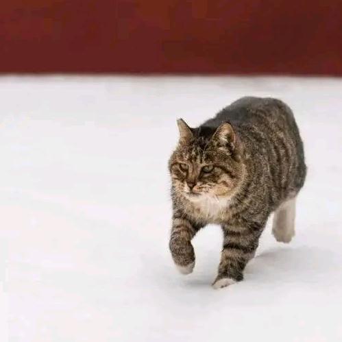 正青春🌞🇨🇳