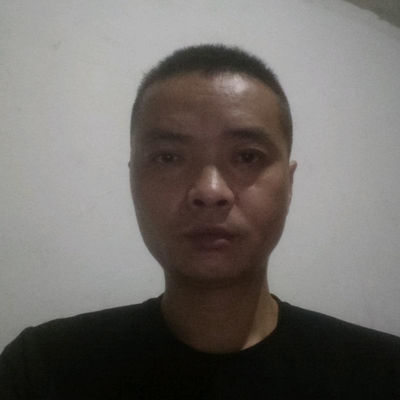 天若有情