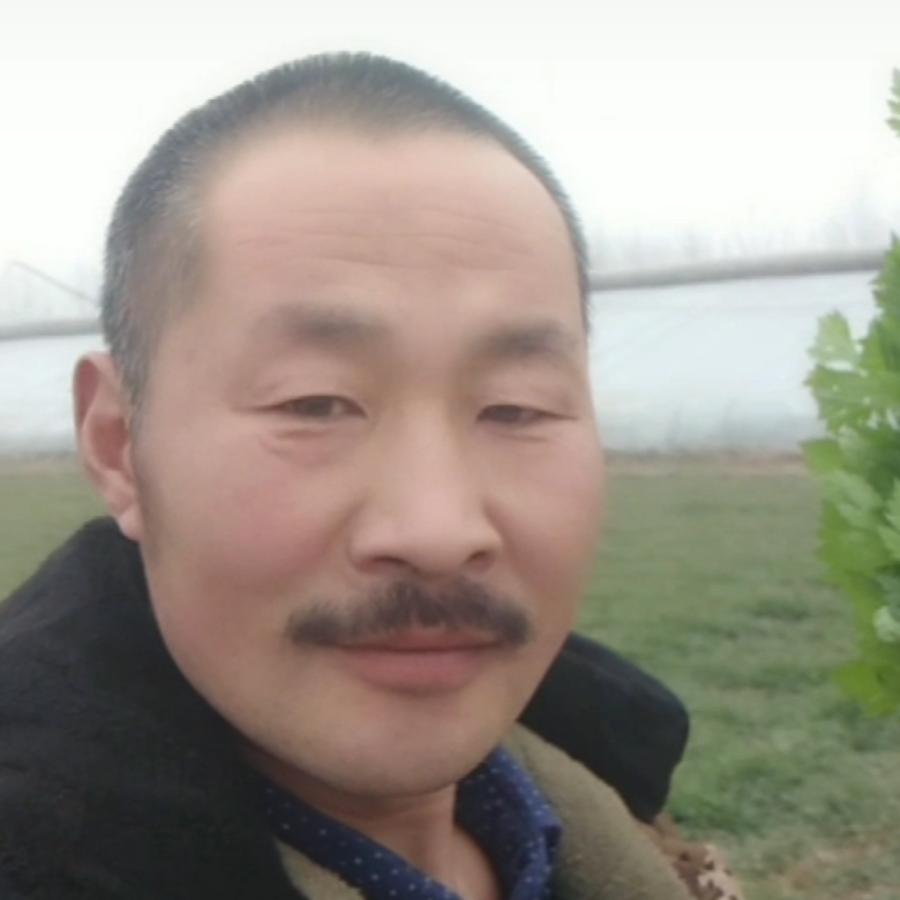 幸福的太阳