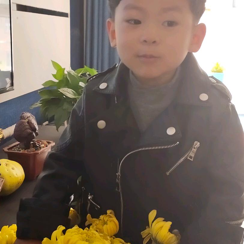 寒梅傲雪